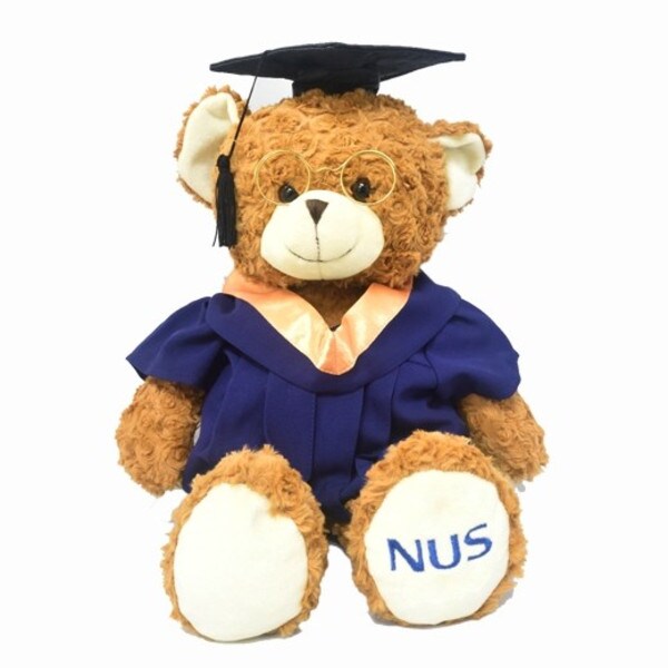 NUS Graduation Bear 2021: Bachelor of Social Science